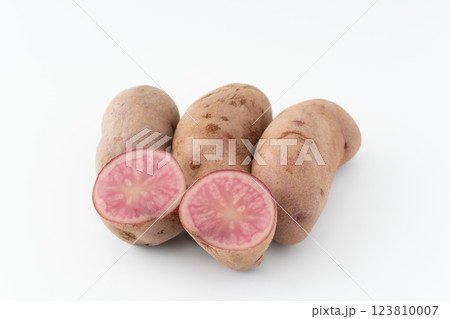 美しいピンク色のジャガイモのノーザンルビー 123810007