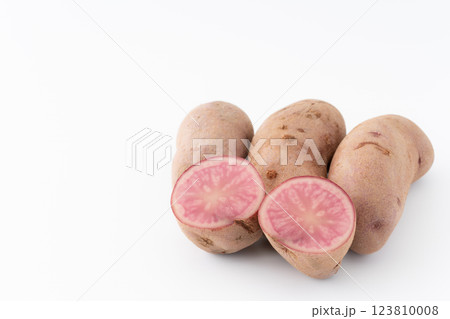 美しいピンク色のジャガイモのノーザンルビー 美しいピンク色のジャガイモのノーザンルビー 123810008