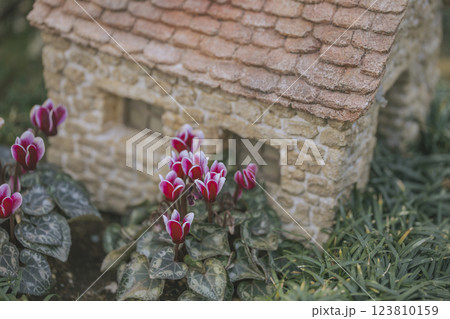 ガーデニング　シクラメン　ミニチュアの家　飾り 123810159