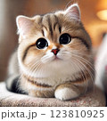 見つめる子猫 123810925