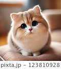 見つめる猫 123810928