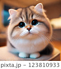 見つめる猫 123810933