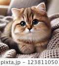 見つめる猫 123811050