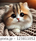 見つめる猫 123811052
