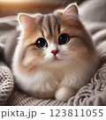 見つめる猫 123811055