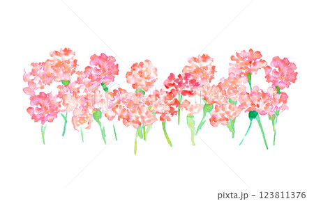 水彩画。水彩タッチの母の日カーネーションイラスト。母の日のカーネーション背景ベクターイラスト。 123811376