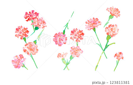水彩画。水彩タッチの母の日カーネーションイラスト。母の日のカーネーション背景ベクターイラスト。 123811381