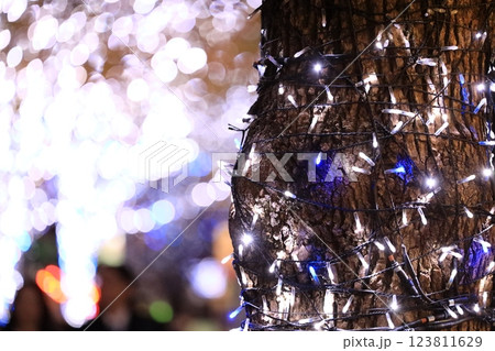 Tokyo City Street with Iconic Tower During Festive Night Dec 5 2024 123811629