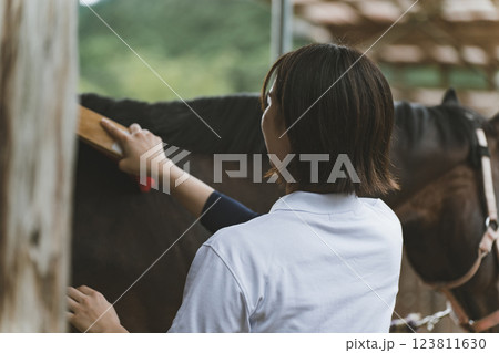 involved with horses involved with horses 123811630