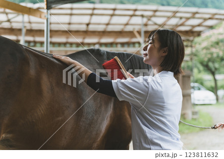 involved with horses involved with horses 123811632