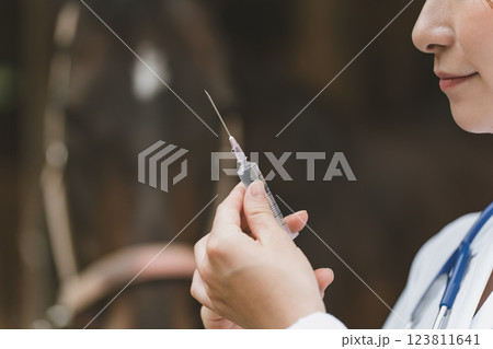 involved with horses 123811641