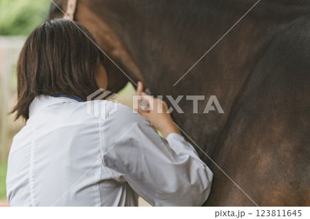 involved with horses 123811645