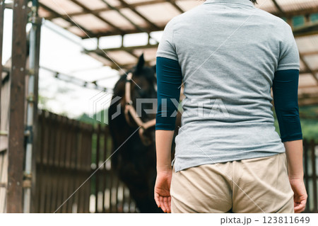 involved with horses 123811649