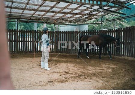 involved with horses involved with horses 123811650