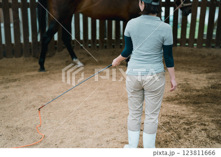 involved with horses 123811666