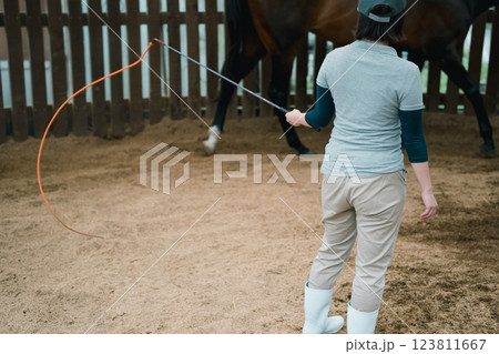 involved with horses 123811667