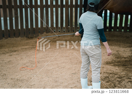 involved with horses 123811668