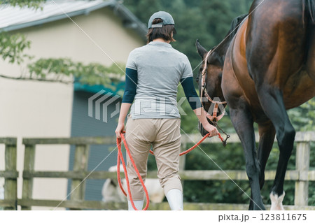 involved with horses 123811675