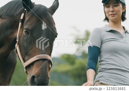 involved with horses 123811681