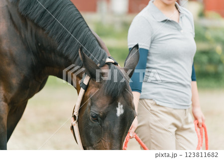 involved with horses involved with horses 123811682