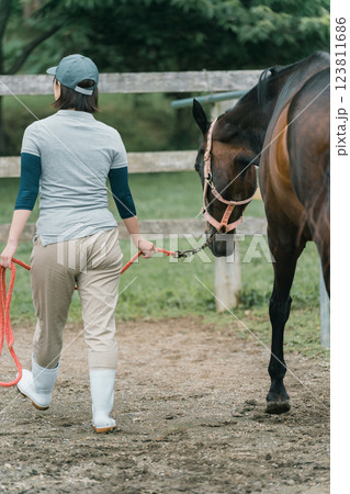 involved with horses involved with horses 123811686