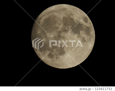 中秋の名月 123811732