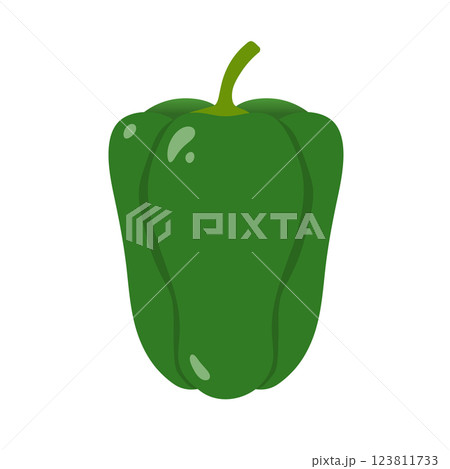ピーマンのイラスト 123811733