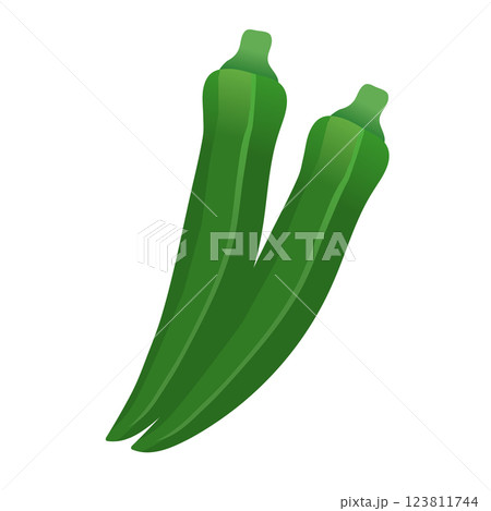 オクラのイラスト 123811744