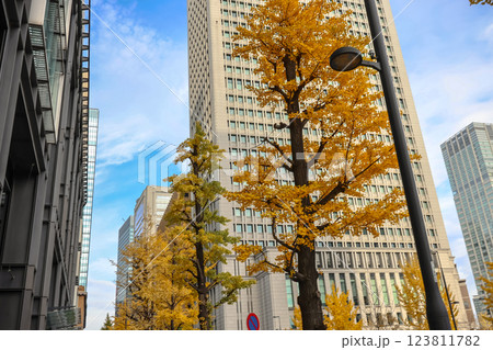 Autumn Scene with Tall Buildings and Yellow Foliage in the City Dec 5 2024 123811782