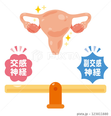 バランスの取れた自律神経と健康的な子宮のイラスト バランスの取れた自律神経と健康的な子宮のイラスト 123811880
