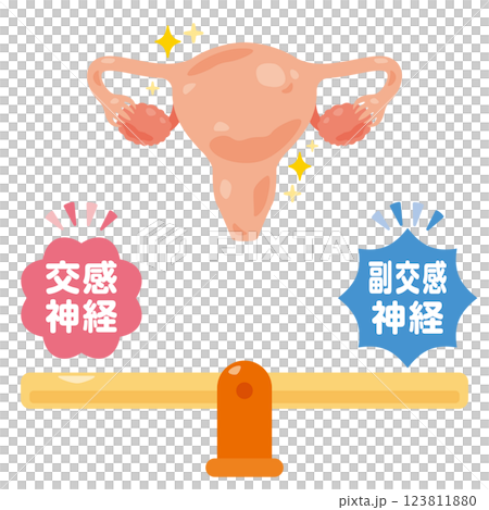 平衡的自主神經系統和健康的子宮的圖示 123811880