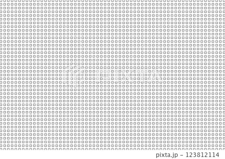 Rectangular Grid Pattern in Black and White 123812114