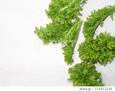Homegrown organic wasabina isolated on white wood background. 123812126