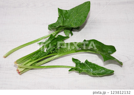 Homegrown organic spinach isolated on white wood background. Homegrown organic spinach isolated on white wood background. 123812132