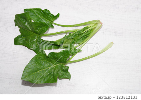 Homegrown organic spinach isolated on white wood background. 123812133
