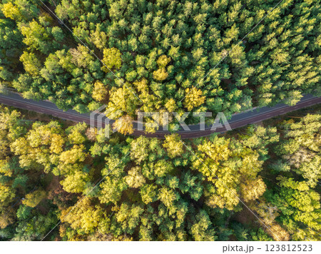 Flight over the autumn mountains with road serpentine and deciduous and pine forest. Top down view. Flight over the autumn mountains with road serpentine and deciduous and pine forest. Top down view. 123812523