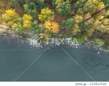 Colorful autumn forest with trees on the shore of a blue lake - top aerial view. 123812526