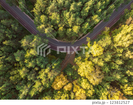 Flight over the autumn mountains with road serpentine and deciduous and pine forest. Top down view. 123812527