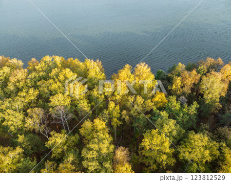 Colorful autumn forest with trees on the shore of a blue lake - top aerial view. 123812529
