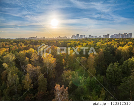 Aerial drone view of stunning colorful autumn fall forest. 123812530