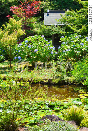 本土寺 弁天堂と弁天池 あじさいとスイレン(千葉県松戸市) 本土寺 弁天堂と弁天池 あじさいとスイレン(千葉県松戸市) 123812734