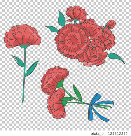 Carnation flower illustration A carnation set for Family Month 123812853