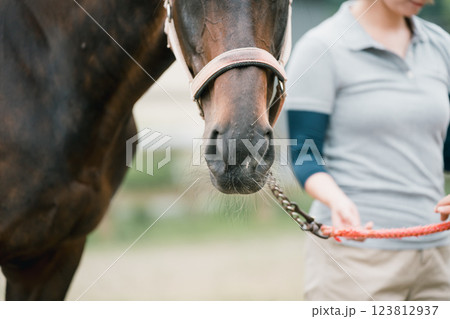 involved with horses involved with horses 123812937