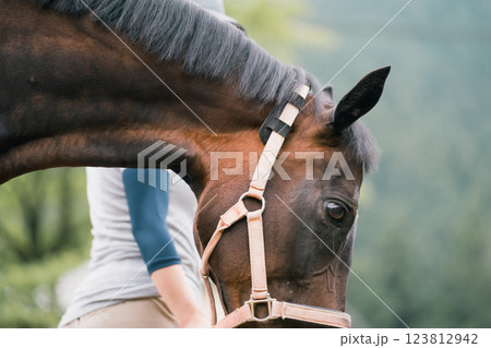 involved with horses 123812942