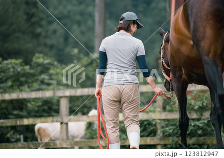 involved with horses involved with horses 123812947