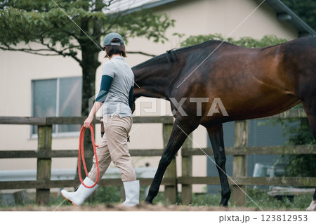 involved with horses 123812953