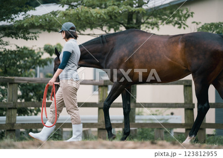 involved with horses 123812955