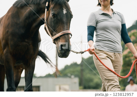 involved with horses 123812957
