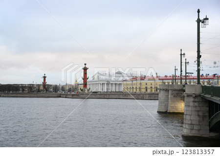 Birzhevy Bridge and the Arrow of Vasilyevsky Island with Rostral Columns in St. Petersburg, Russia 123813357