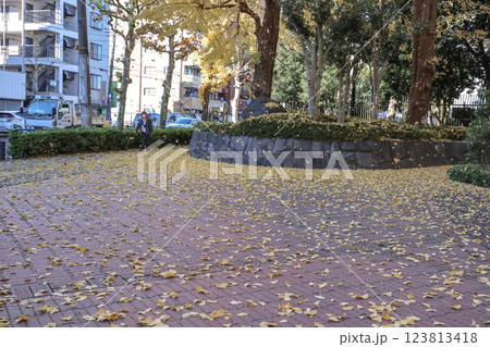 Leaves in Urban Park With Scenic Trees and Cityscape, Komagome Dec 6 2024 123813418